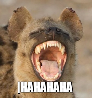 Meme Creator - Funny |HAHAHAHA Meme Generator at ! Meme Creator - Funny |HAHAHAHA Meme Generator at !