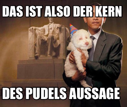 das-ist-also-der-kern-des-pudels-aussage