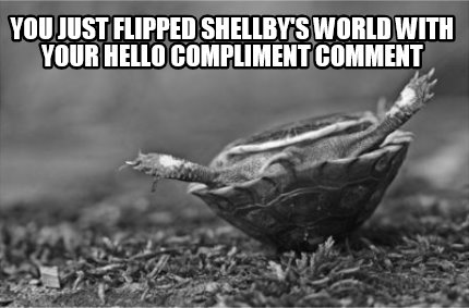 you-just-flipped-shellbys-world-with-your-hello-compliment-comment