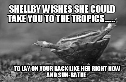 shellby-wishes-she-could-take-you-to-the-tropics......-to-lay-on-your-back-like-