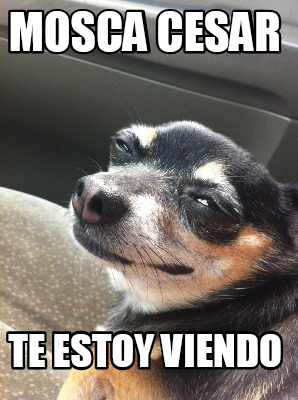 mosca-cesar-te-estoy-viendo