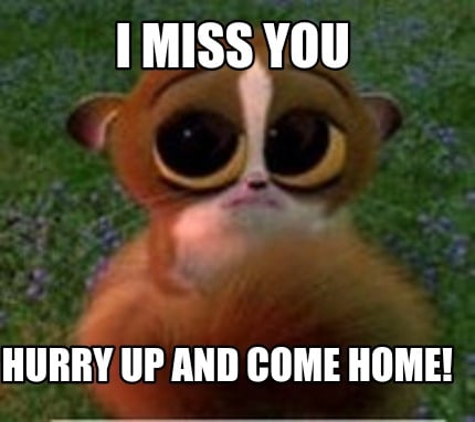 Meme Creator - Funny I miss you Hurry up and come home! Meme Generator at  !