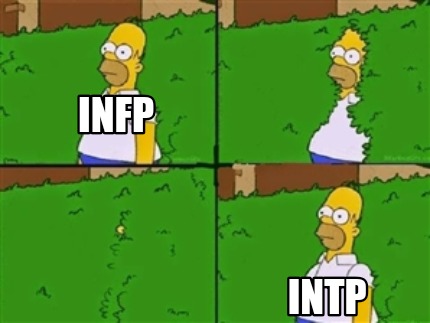 infp-intp