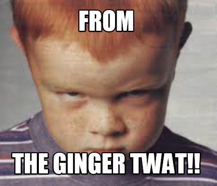 from-the-ginger-twat