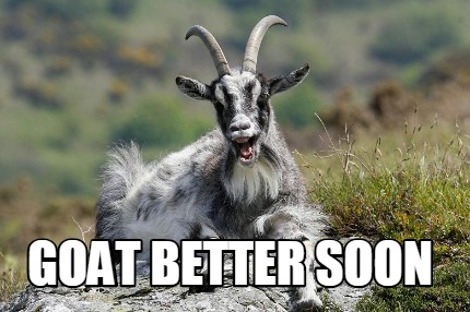 goat-better-soon
