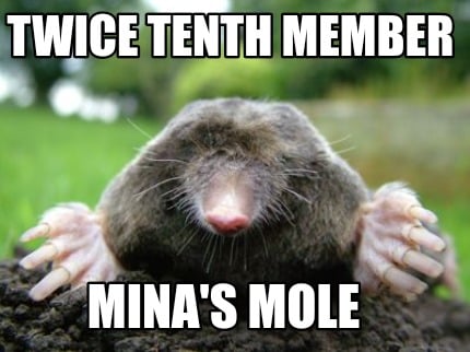 twice-tenth-member-minas-mole