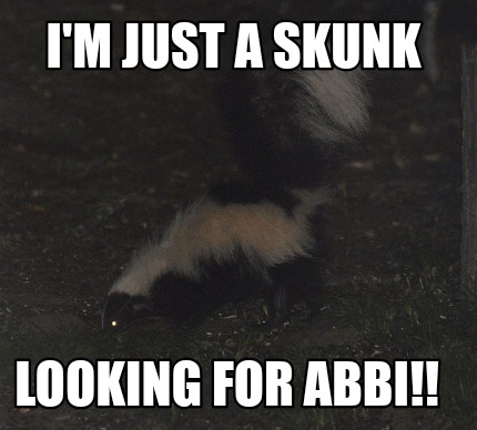 im-just-a-skunk-looking-for-abbi