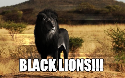 black-lions