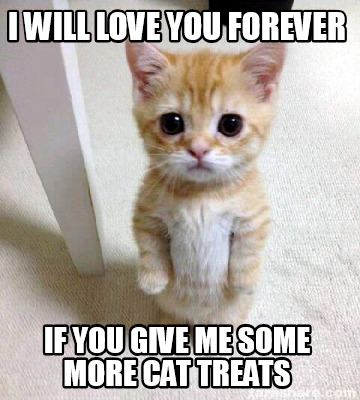 Meme Creator Funny I Will Love You Forever If You Give Me Some More Cat Treats Meme Generator At Memecreator Org Meme Creator Funny I Will Love You Forever If You Give Me Some More Cat Treats Meme Generator At Memecreator Org
