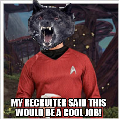 my-recruiter-said-this-would-be-a-cool-job