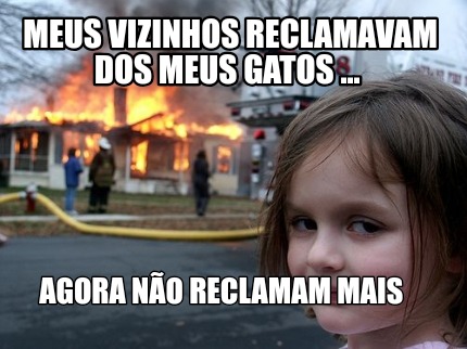 meus-vizinhos-reclamavam-dos-meus-gatos-...-agora-no-reclamam-mais