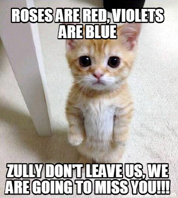 Meme Creator - Funny ROSES ARE RED, VIOLETS ARE BLUE ZULLY DON'T LEAVE US, WE ARE GOING TO MISS YOU!! Meme Generator at ! Meme Creator - Funny ROSES ARE RED, VIOLETS ARE BLUE ZULLY DON'T LEAVE US, WE ARE GOING TO MISS YOU!! Meme Generator at !