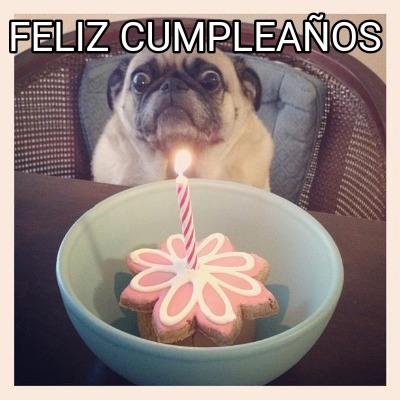 feliz-cumpleaos055