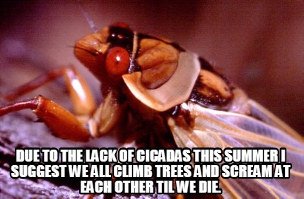 due-to-the-lack-of-cicadas-this-summer-i-suggest-we-all-climb-trees-and-scream-a