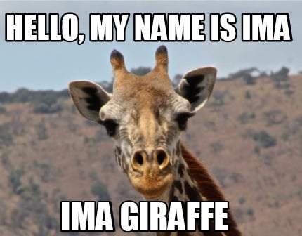 hello-my-name-is-ima-ima-giraffe