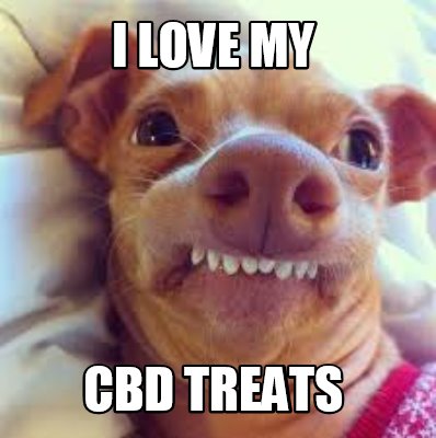 i-love-my-cbd-treats