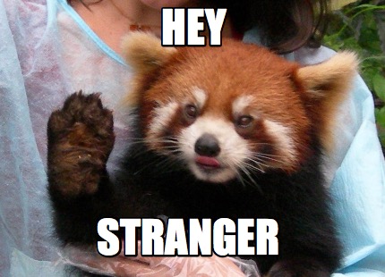 hey-stranger
