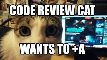 code-review-cat-wants-to-a