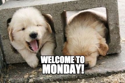 welcome-to-monday3