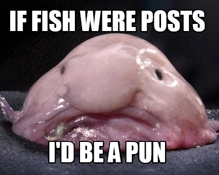 if-fish-were-posts-id-be-a-pun