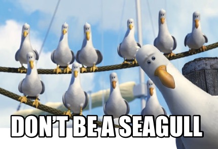dont-be-a-seagull