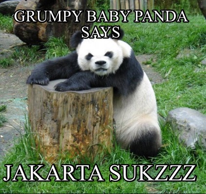 Meme Creator - Funny Disappointment Panda says Let's have a Chat Meme  Generator at !