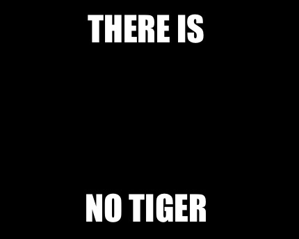 there-is-no-tiger