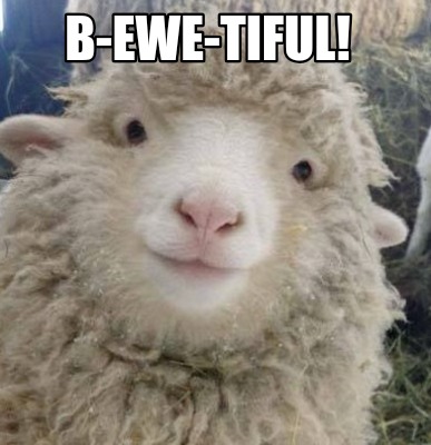b-ewe-tiful
