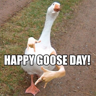 happy-goose-day5