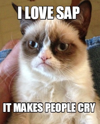Meme Creator - Funny I LOVE SAP IT MAKES PEOPLE CRY Meme Generator at ! Meme Creator - Funny I LOVE SAP IT MAKES PEOPLE CRY Meme Generator at !