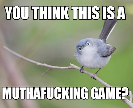 you-think-this-is-a-muthafucking-game