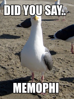 did-you-say..-memophi