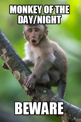 monkey-of-the-daynight-beware