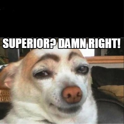 superior-damn-right