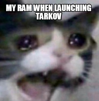 my-ram-when-launching-tarkov