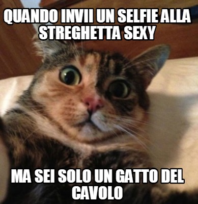 quando-invii-un-selfie-alla-streghetta-sexy-ma-sei-solo-un-gatto-del-cavolo