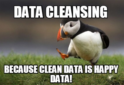 data-cleansing-because-clean-data-is-happy-data