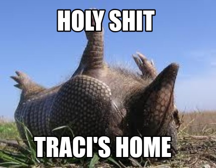 holy-shit-tracis-home