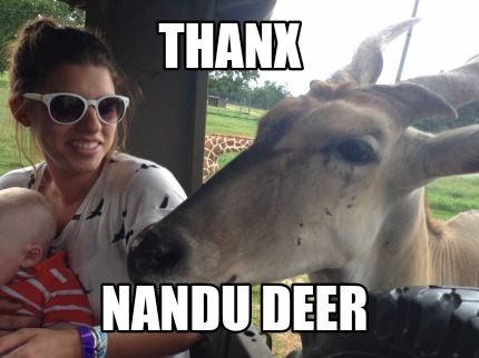 thanx-nandu-deer