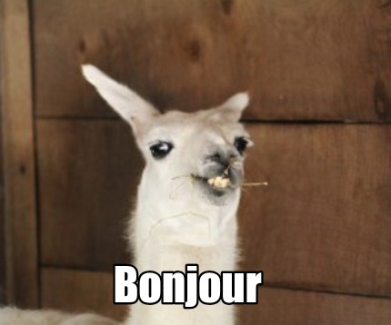 bonjour9