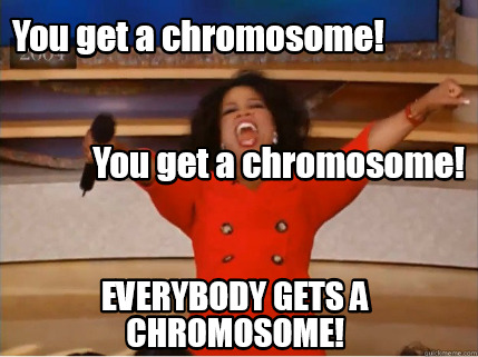 Meme Creator Funny You Get A Chromosome Everybody Gets A Chromosome You Get A Chromosome Meme Generator At Memecreator Org