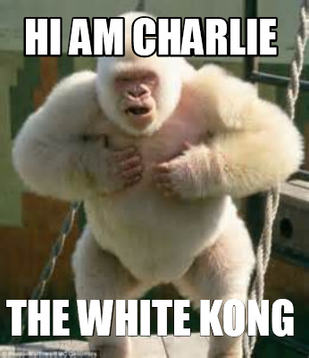 hi-am-charlie-the-white-kong