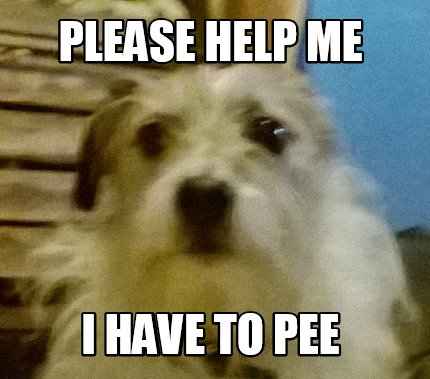 please-help-me-i-have-to-pee