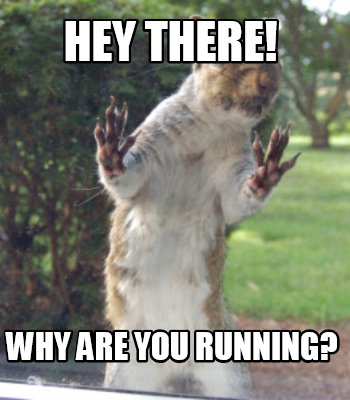 hey-there-why-are-you-running