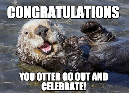 congratulations-you-otter-go-out-and-celebrate8