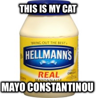 this-is-my-cat-mayo-constantinou