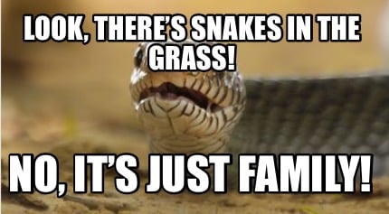 look-theres-snakes-in-the-grass-no-its-just-family