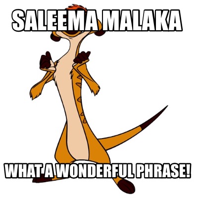 saleema-malaka-what-a-wonderful-phrase