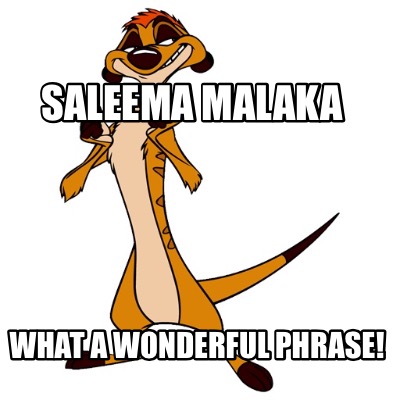 saleema-malaka-what-a-wonderful-phrase9
