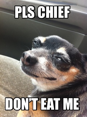 pls-chief-dont-eat-me